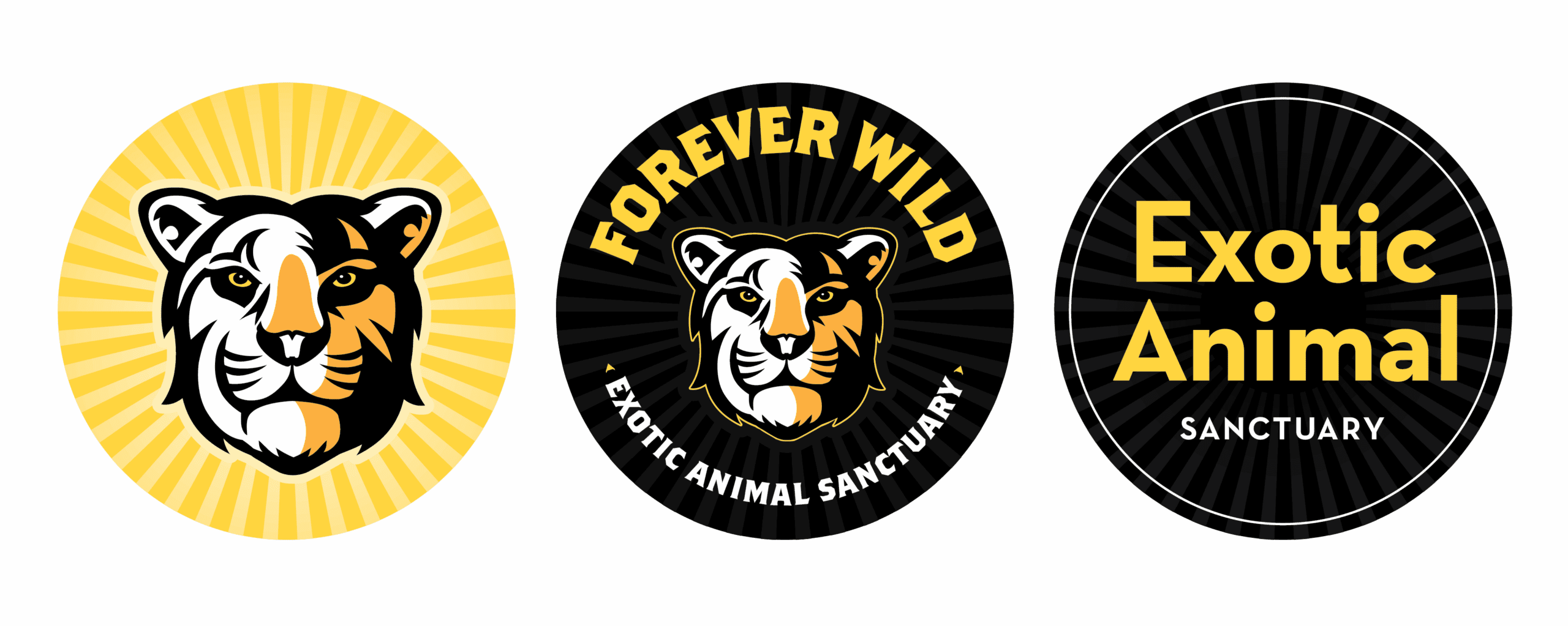 Case-Study-ForeverWild-05