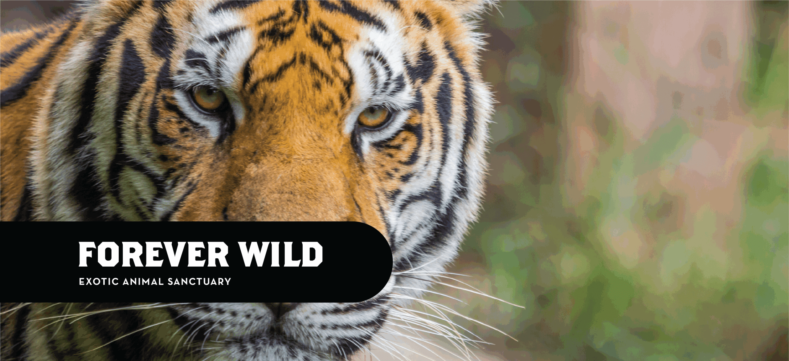 Extreme Home Makeover